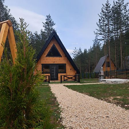Pine Forest-Black Zabljak  Ngoại thất bức ảnh