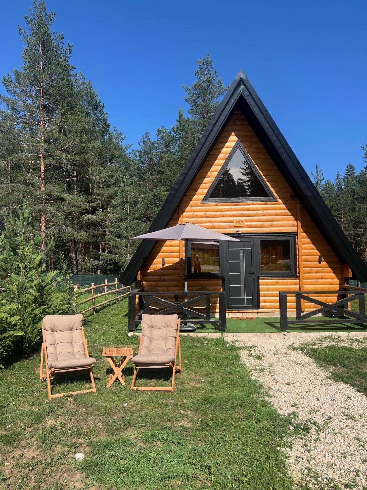 Pine Forest-Black Zabljak  Ngoại thất bức ảnh